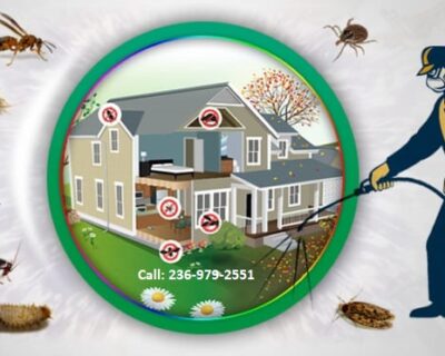 Pest-Control-Richmond